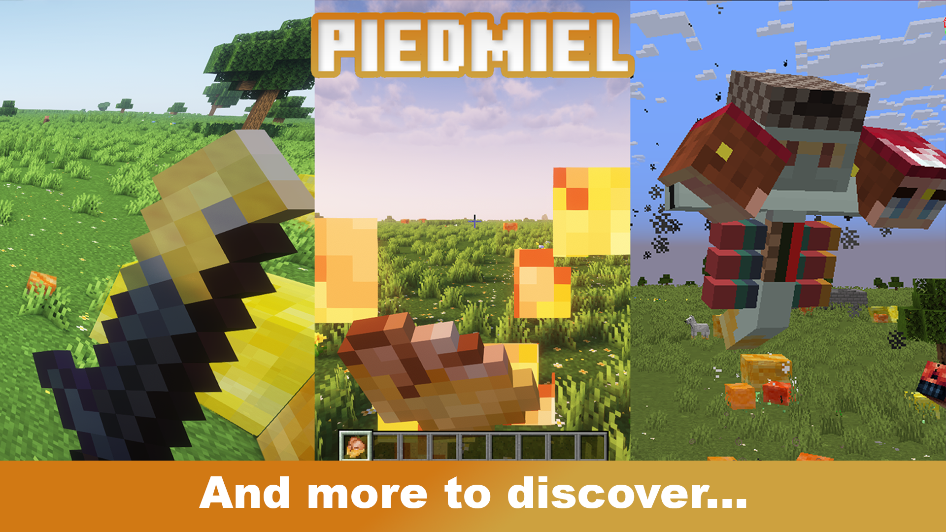 So much to discover