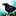 Crow.png