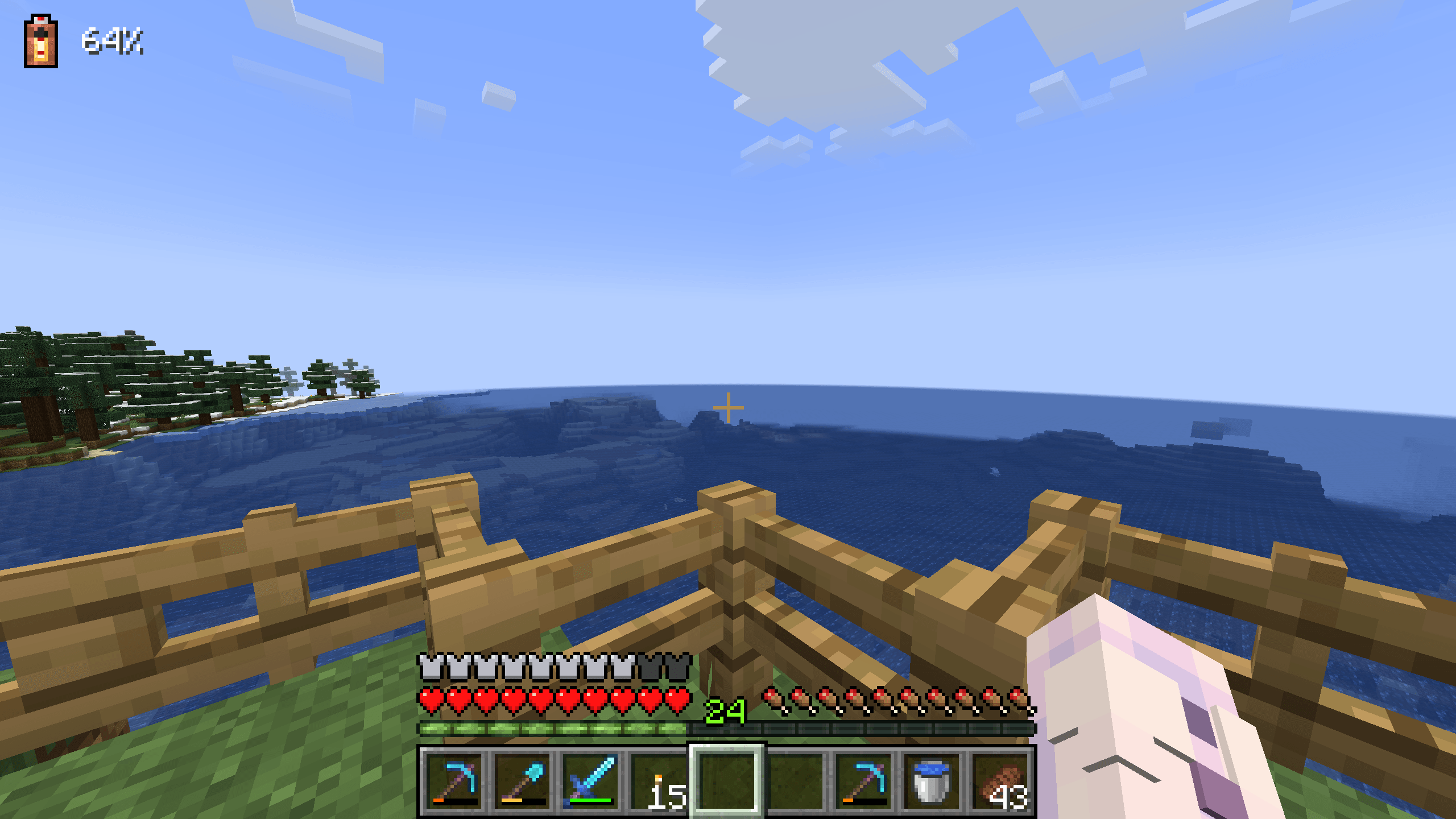 Screenshot thumbnail