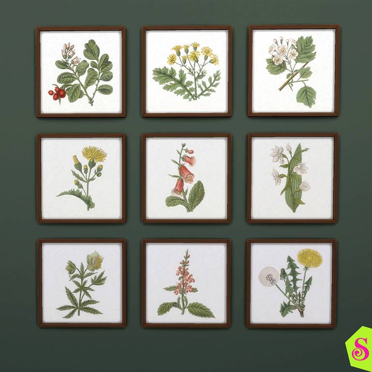 TL_botonicals_product_image_1.jpg