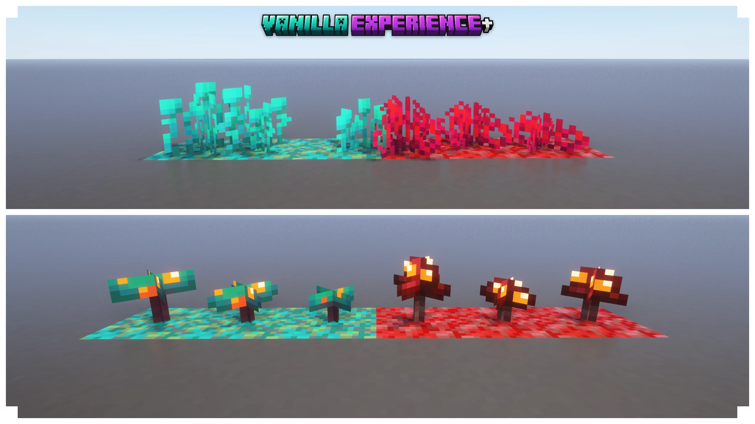 Variated Roots and Fungus