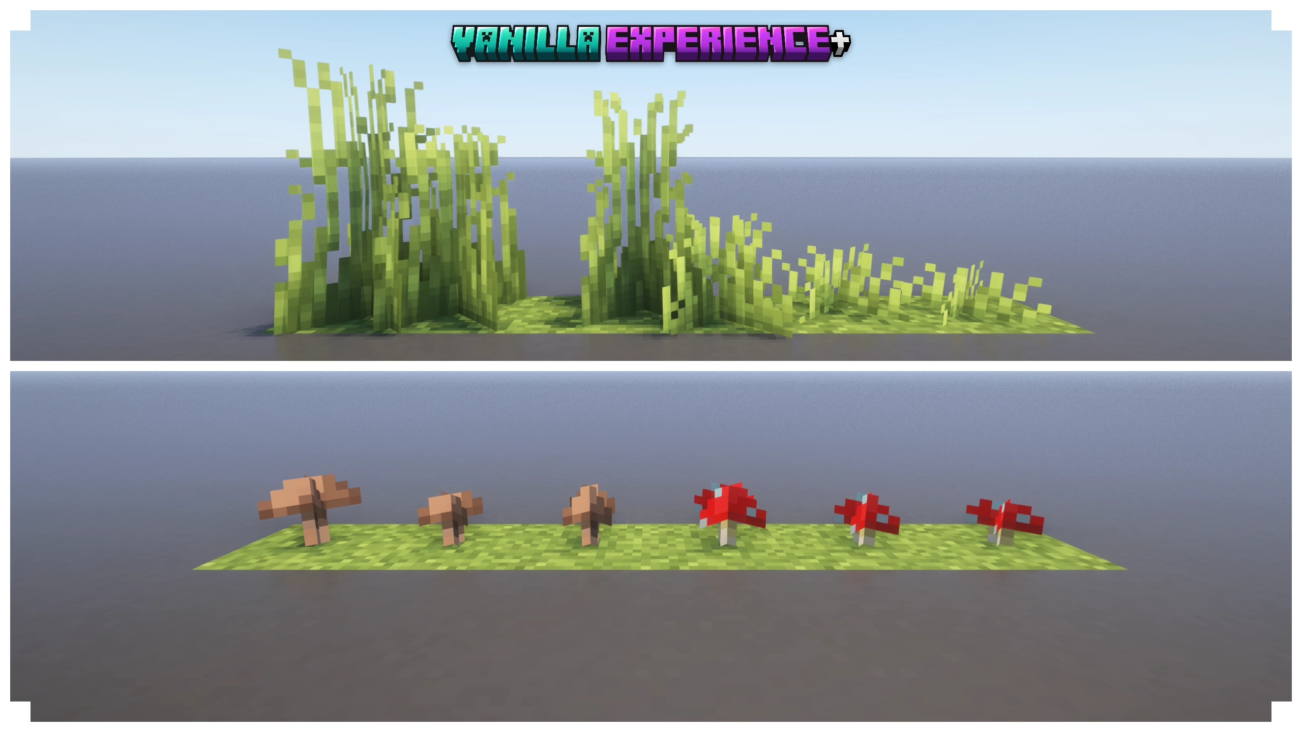 Variated Grass and Mushrooms