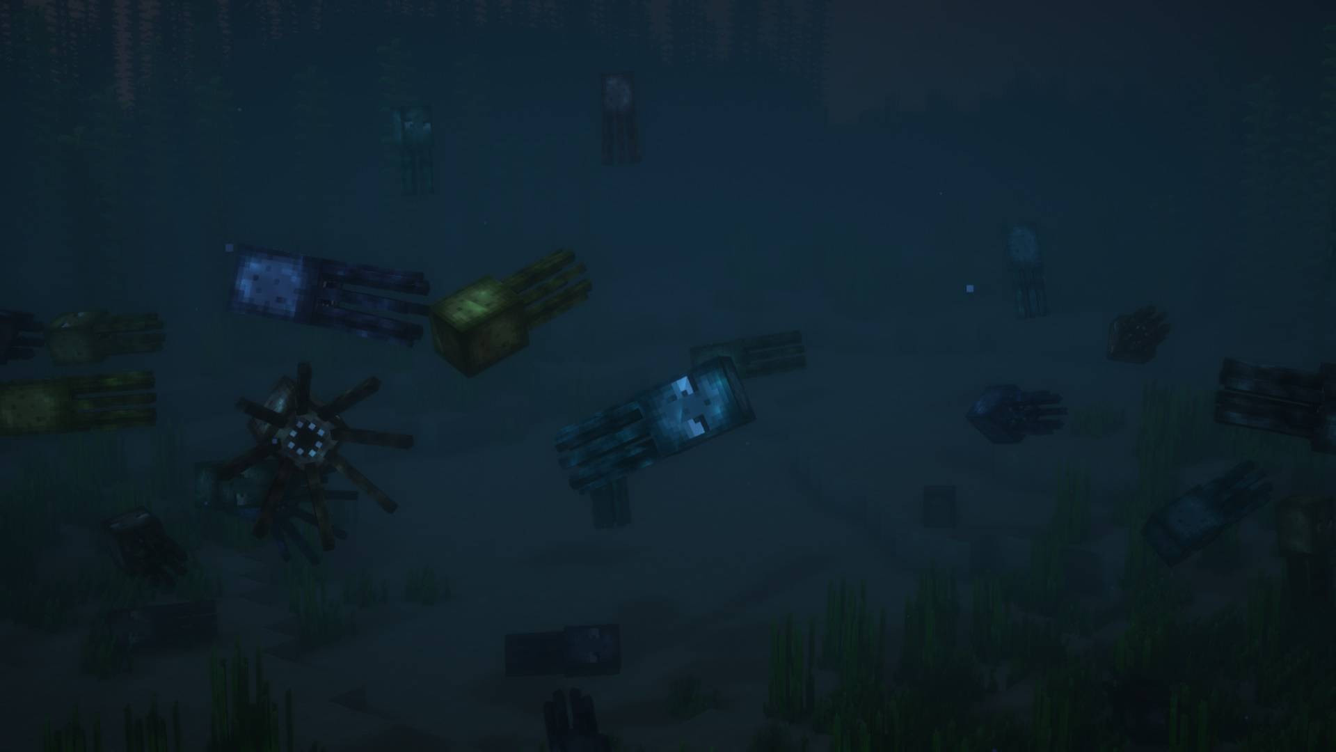 Squids