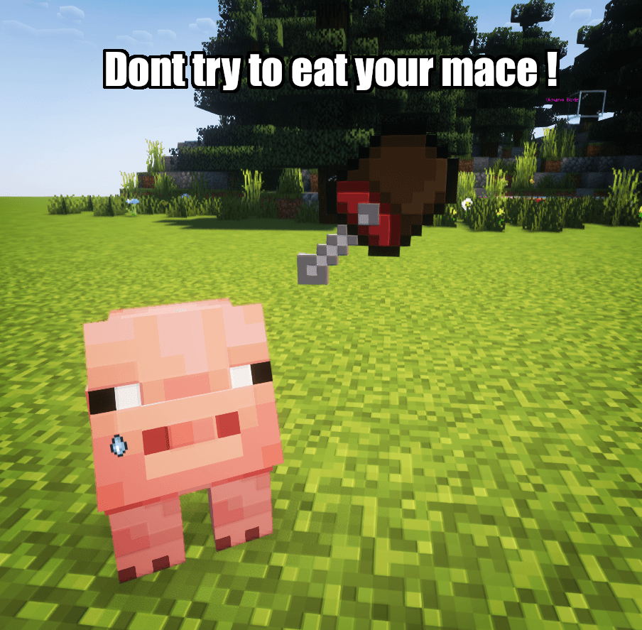 Thumbnail maace.png