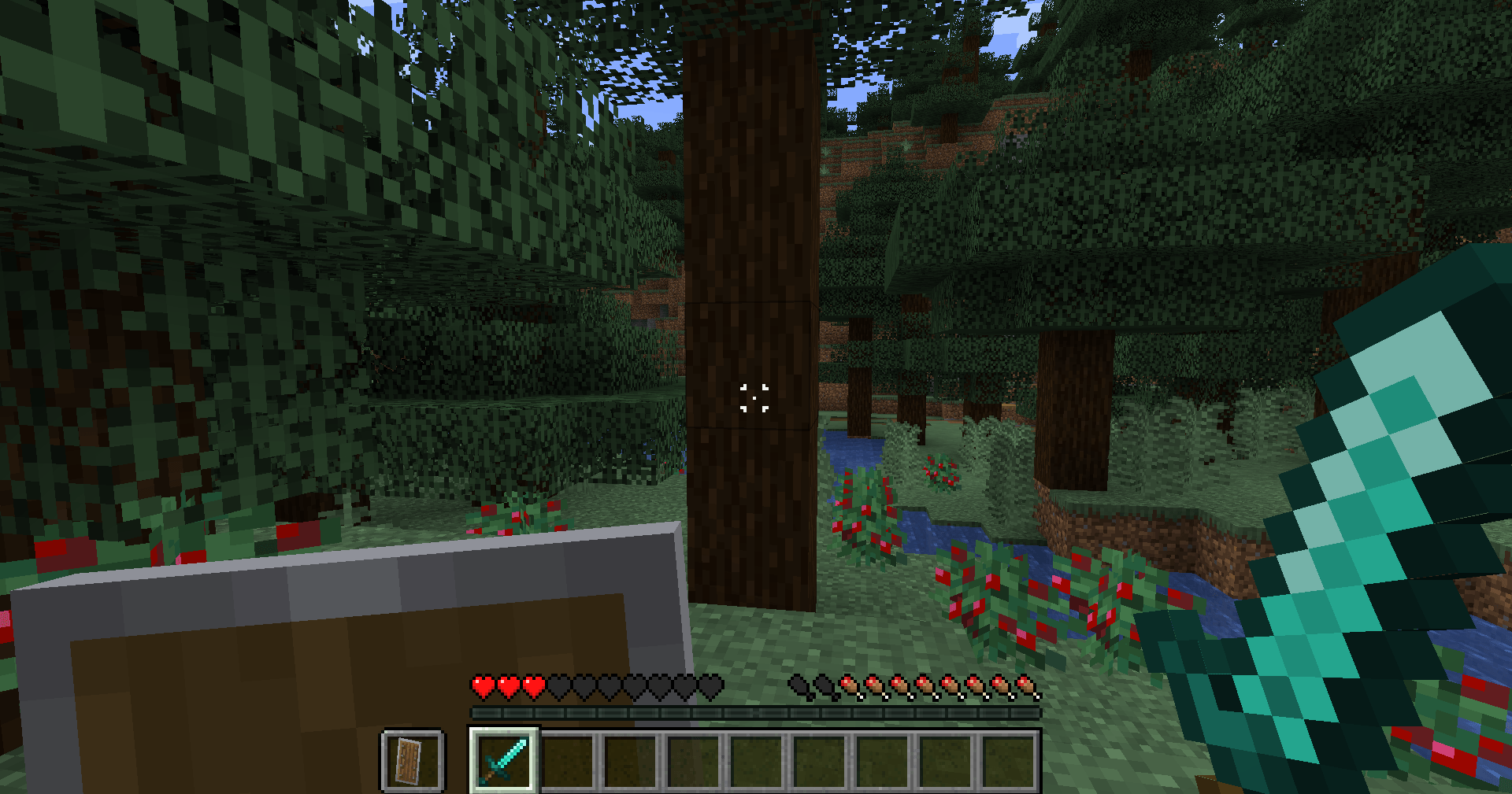Screenshot of crosshair in action