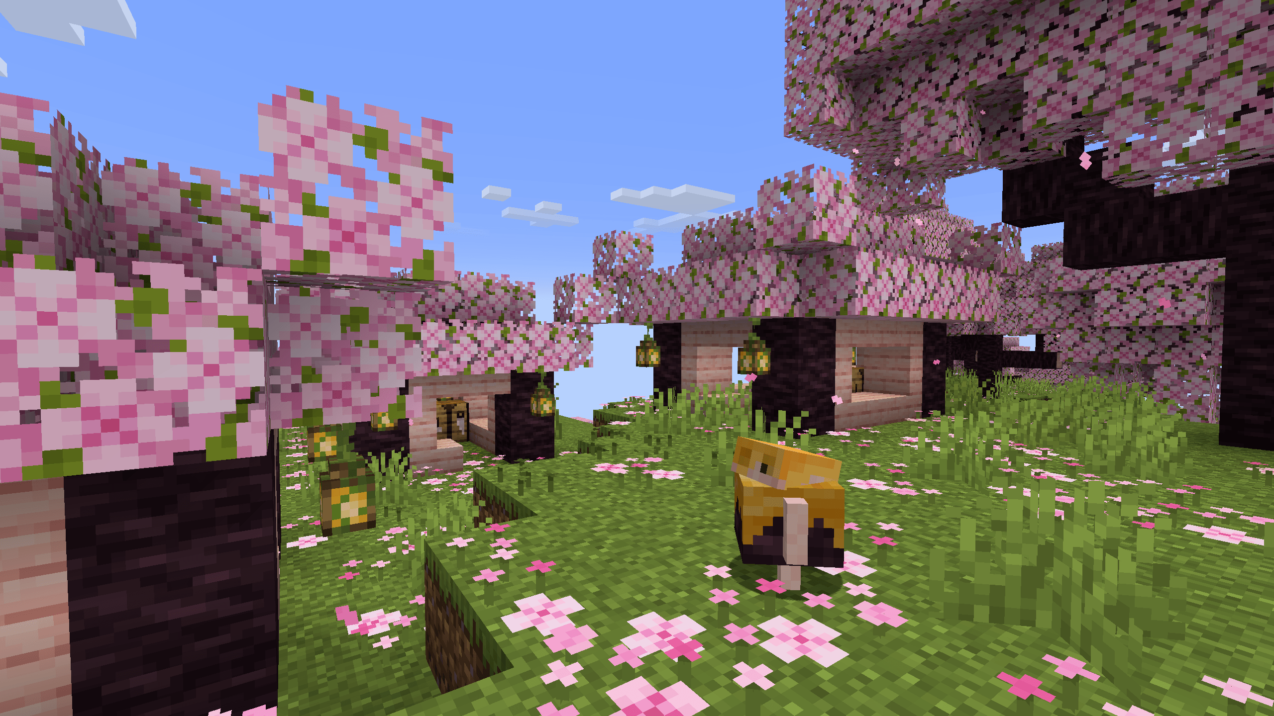Thumbnail A Cherry Barkling Village