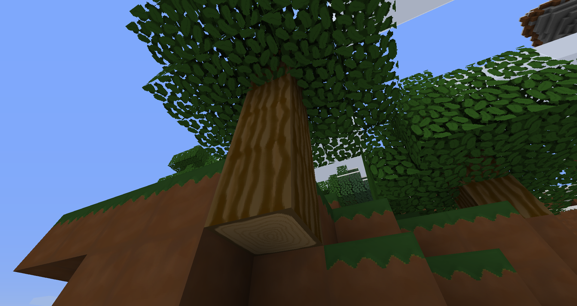 OMG! What's with that tree!?!?!?!