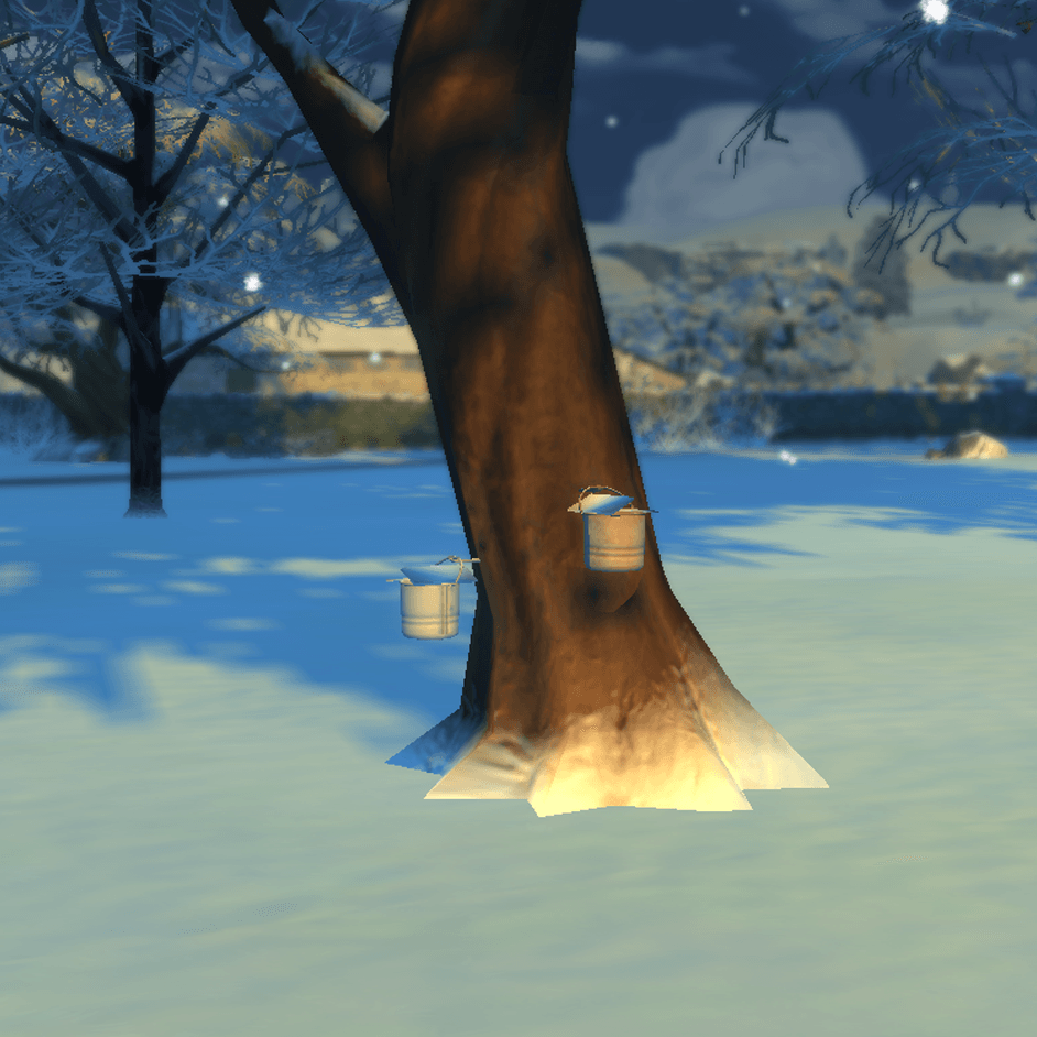 Thumbnail and cool nights are perfect for sap production