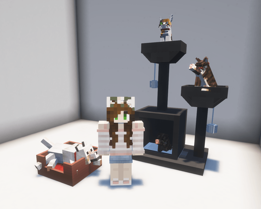 This is the cat tree and pet bed!