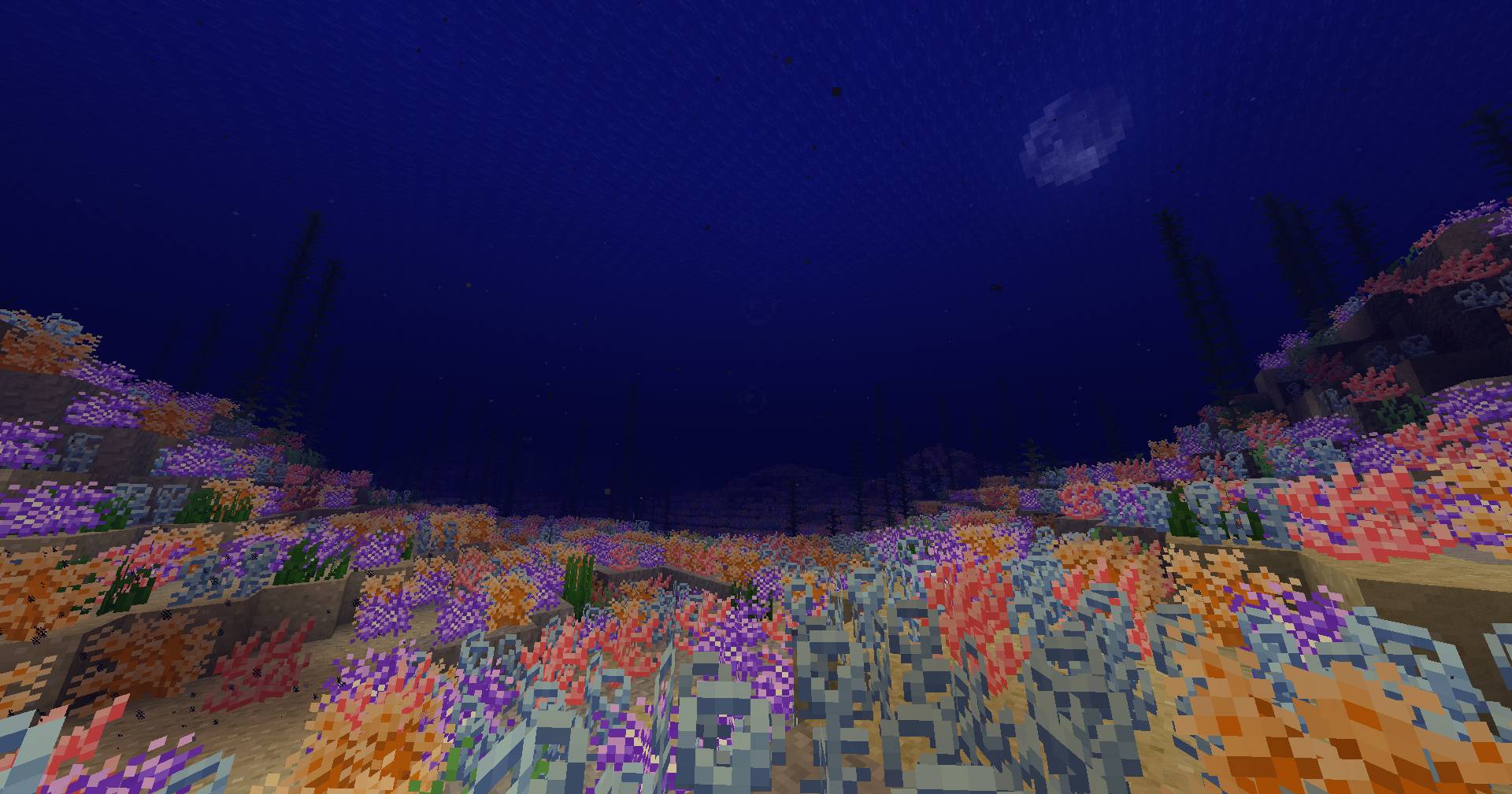 Thumbnail 2025-02-22_03.53.jpg