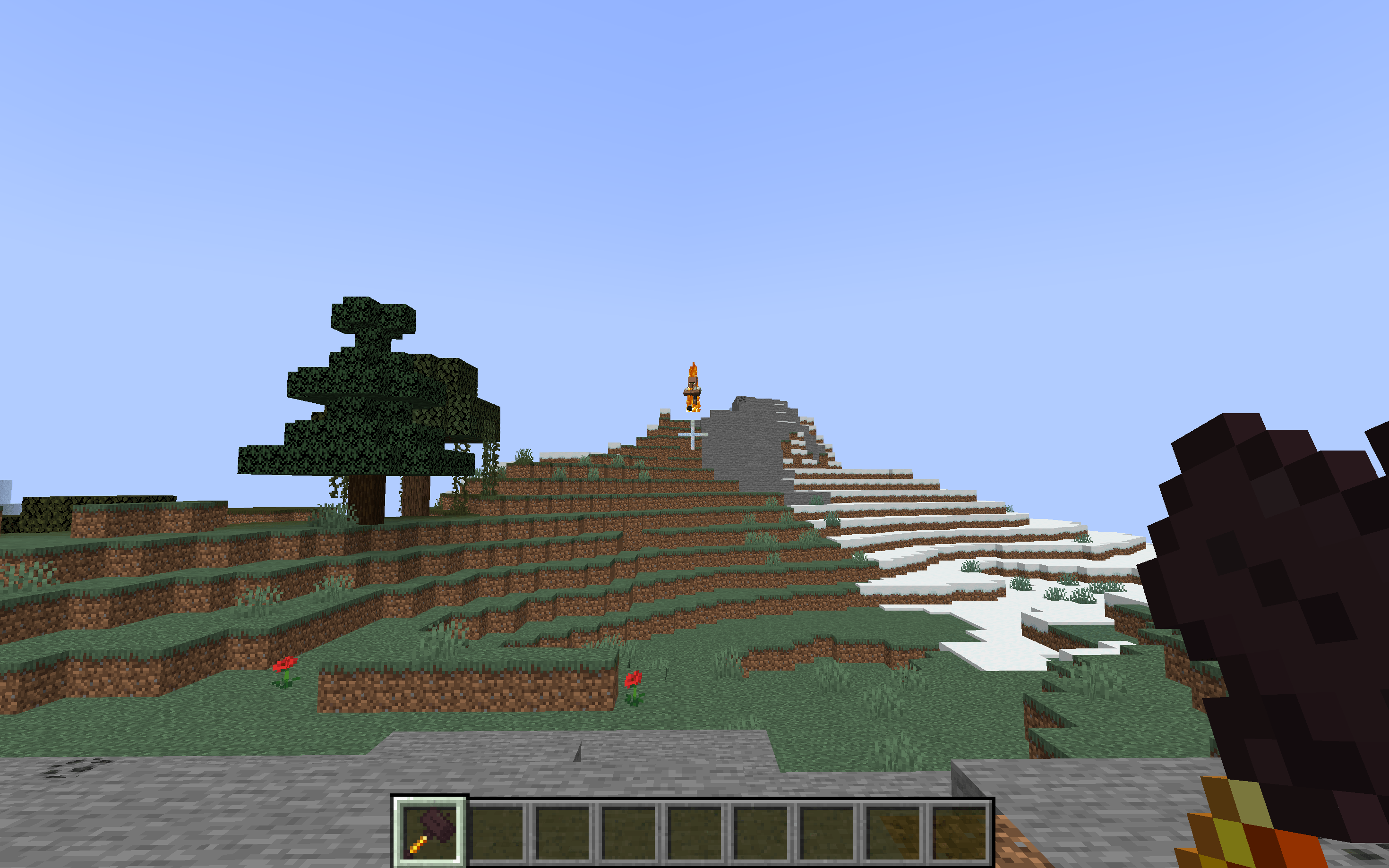 Screenshot thumbnail