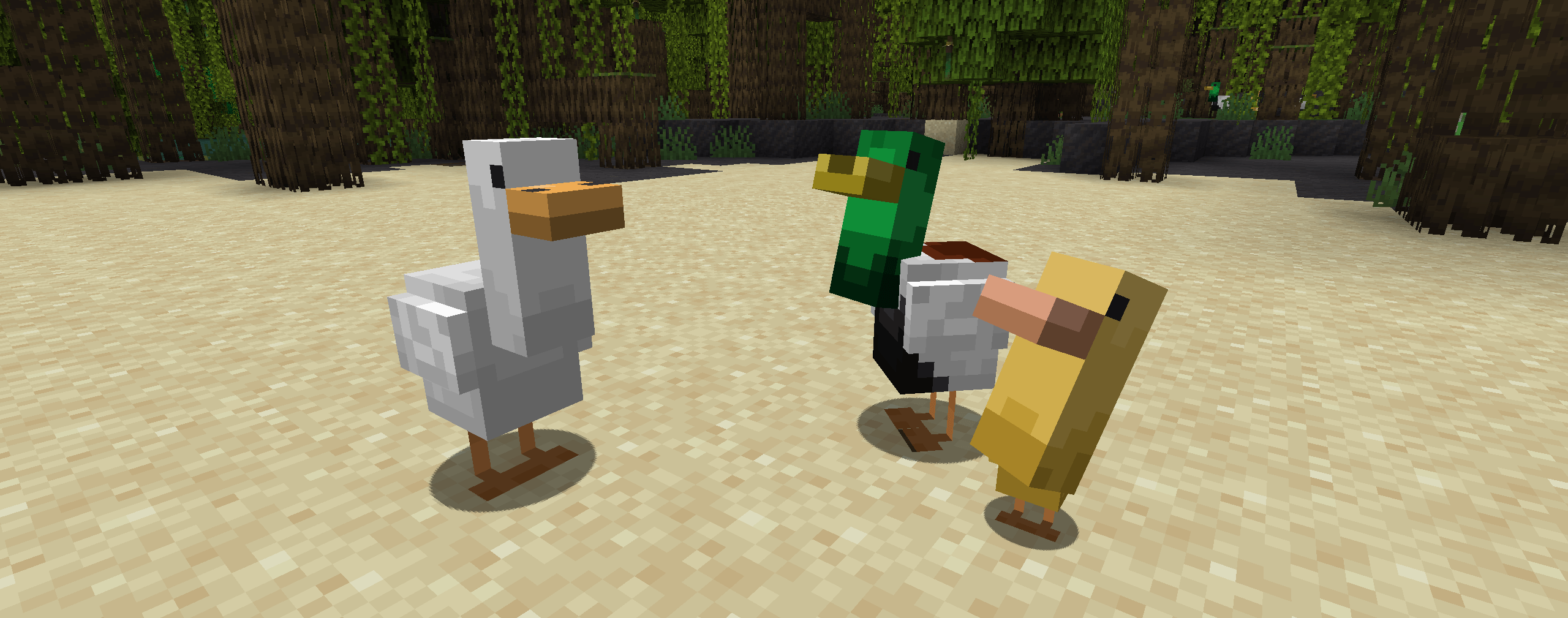 Ducks