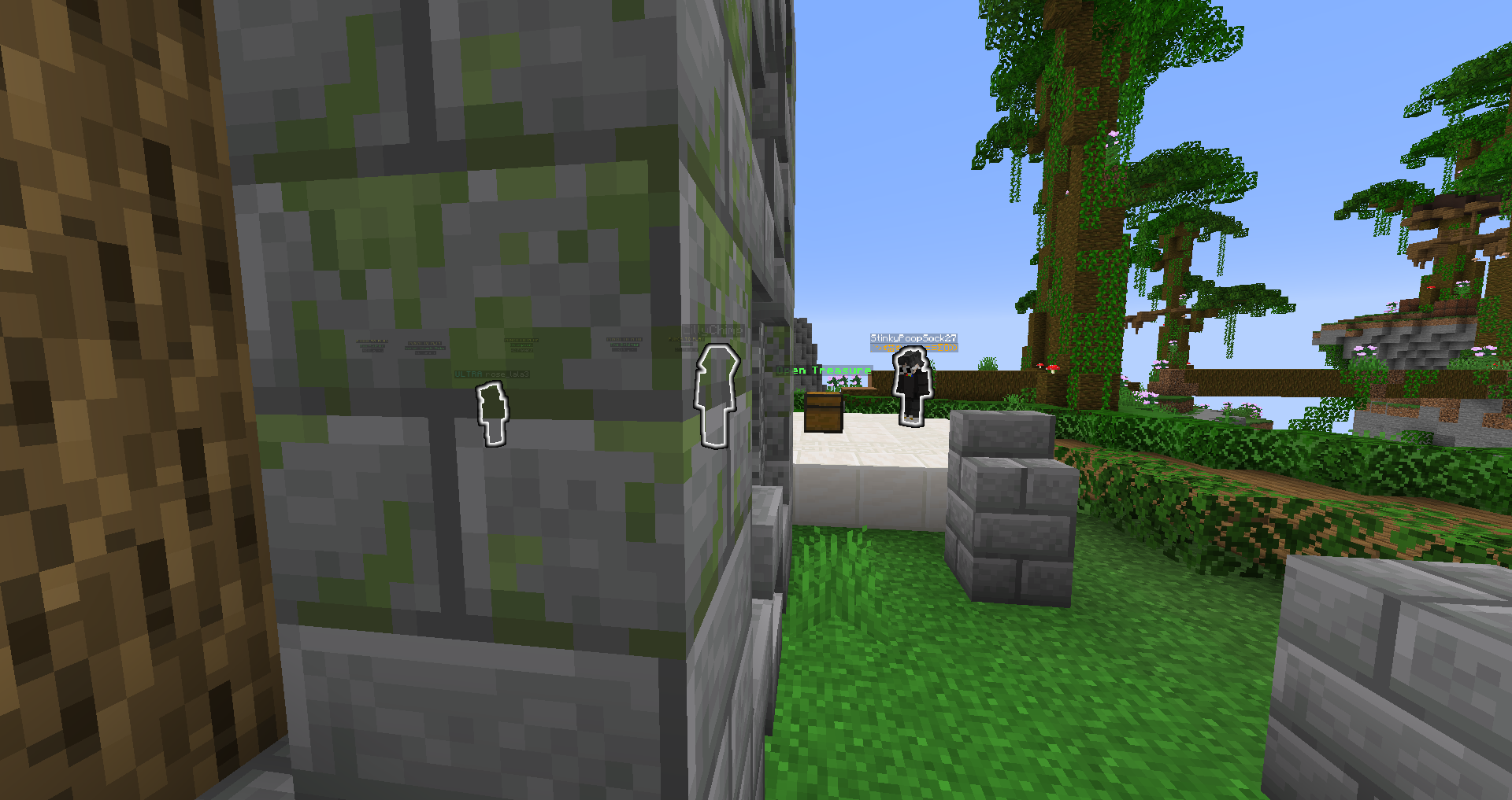 Thumbnail See mobs through walls