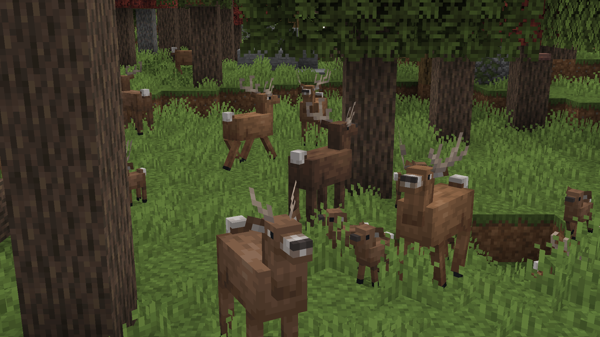 screenshot thumbnail