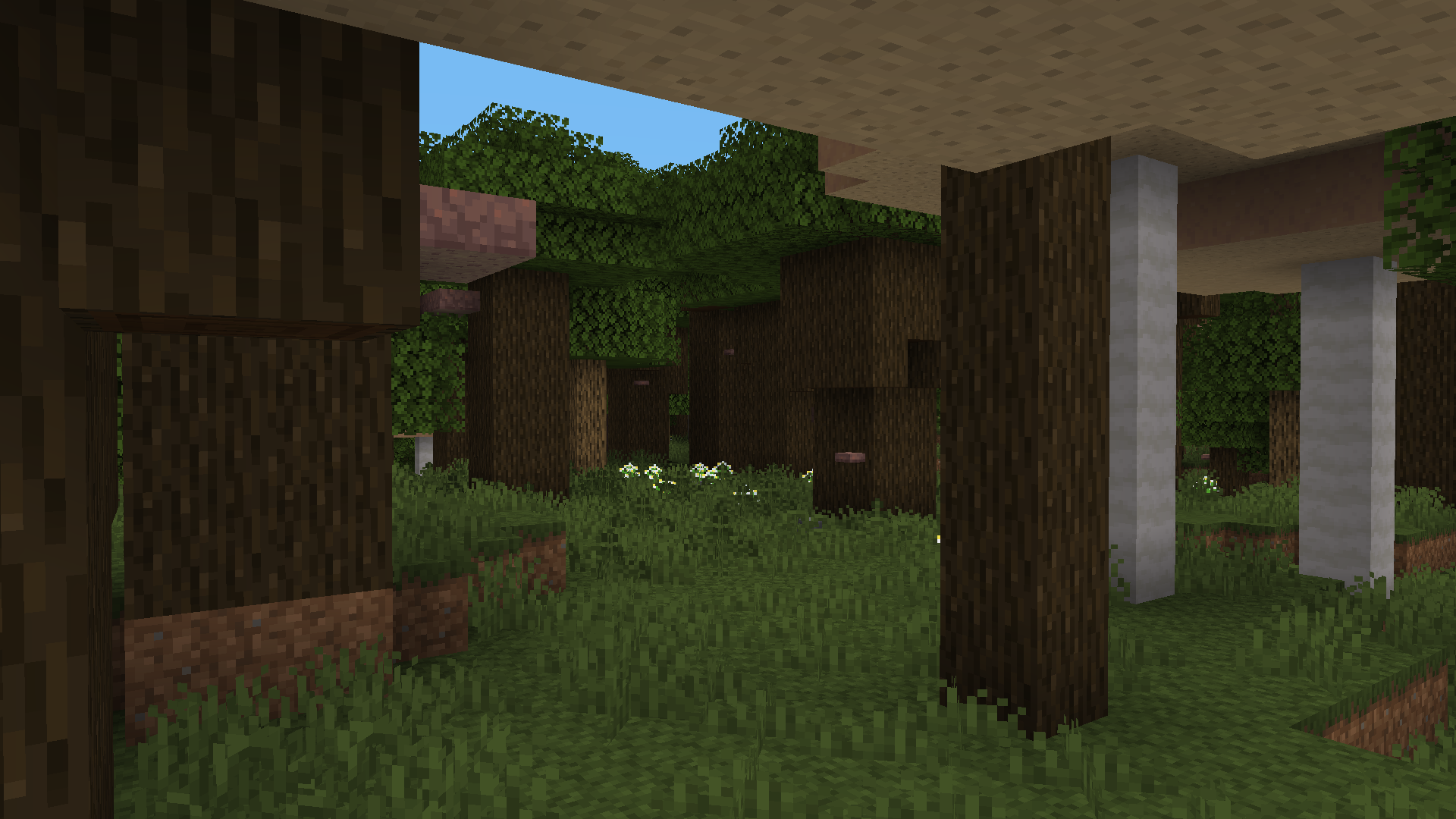 screenshot thumbnail