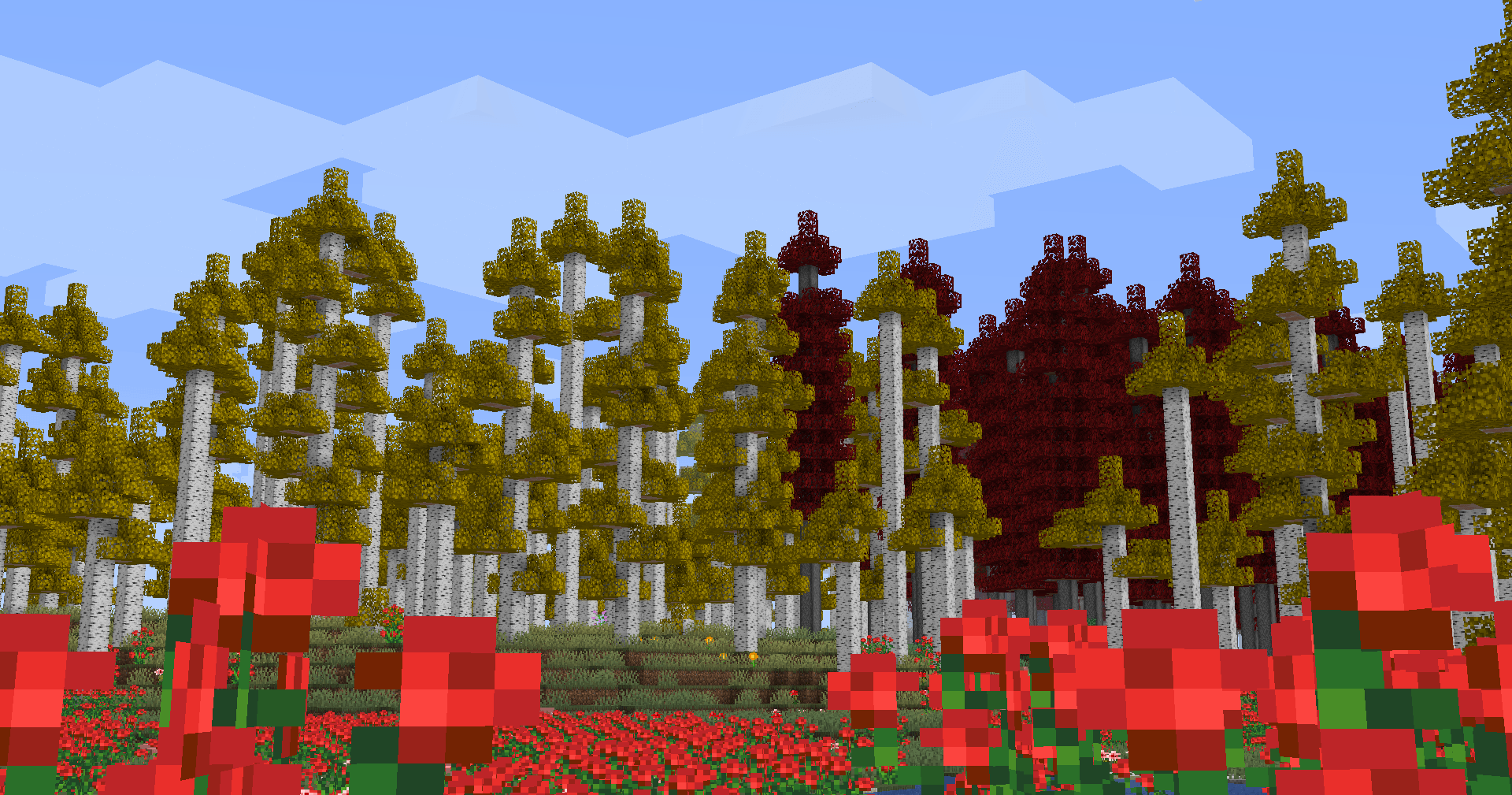 Oh the Biomes You'll Go 1.16.5