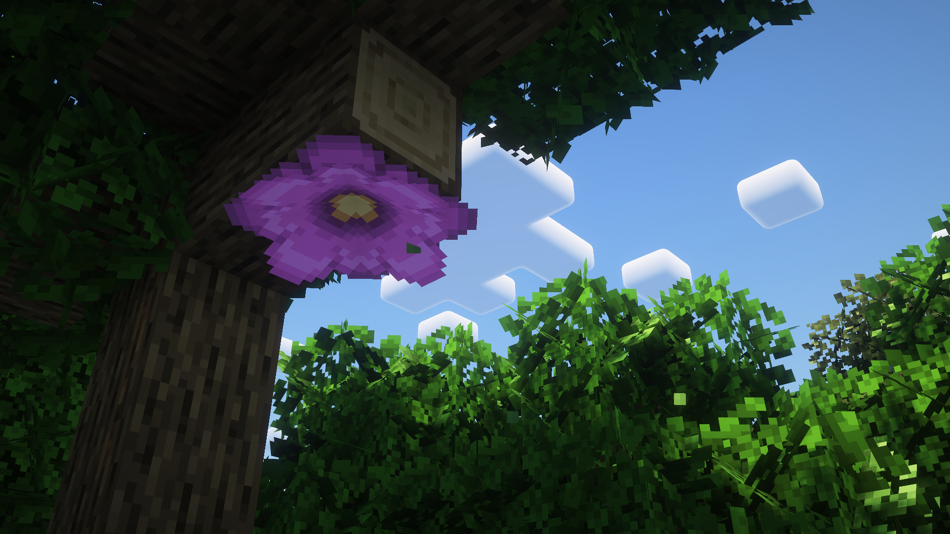 Modified Forest Shaders
