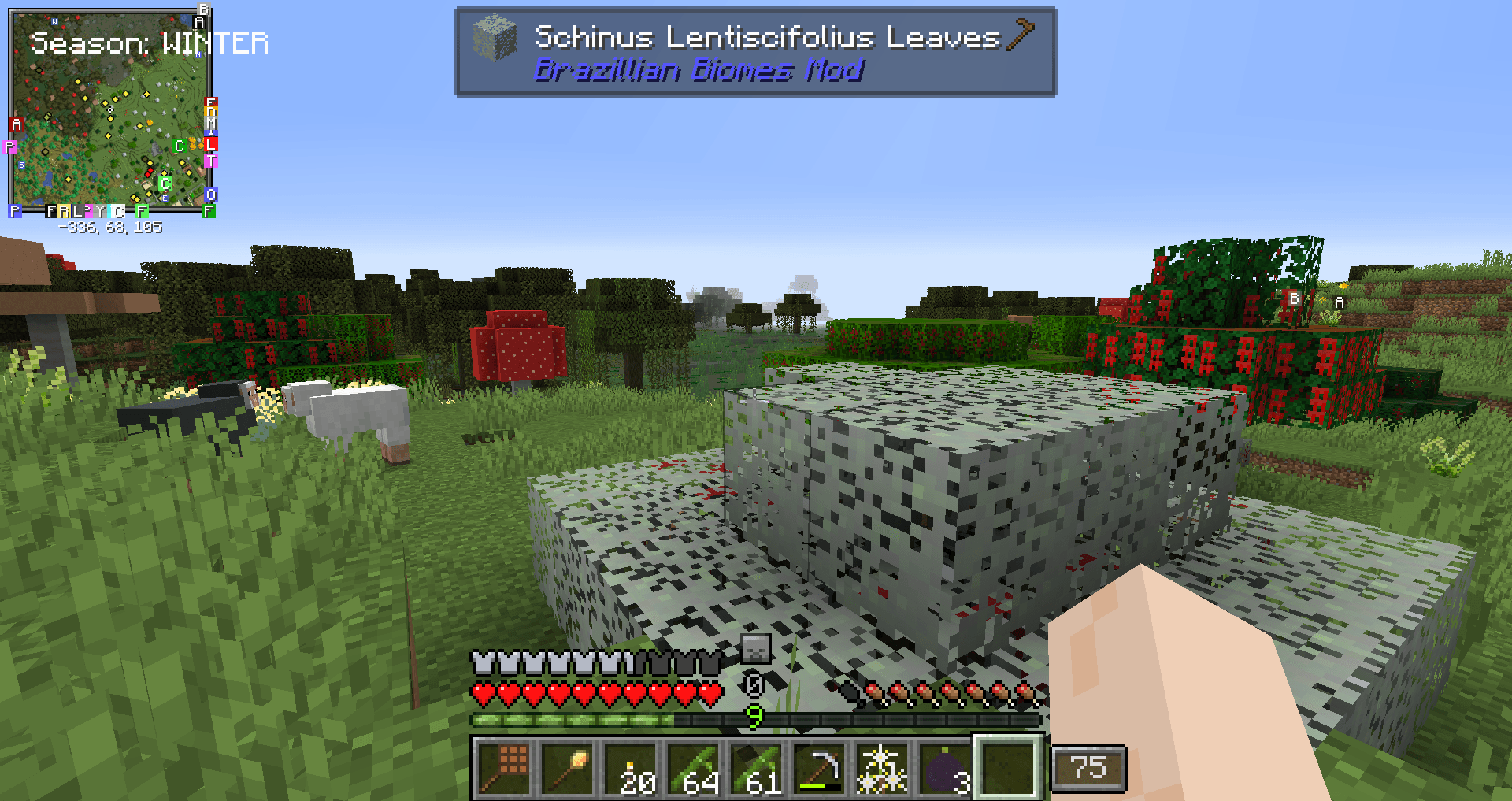 Thumbnail 2025-03-11_20.11.24.png