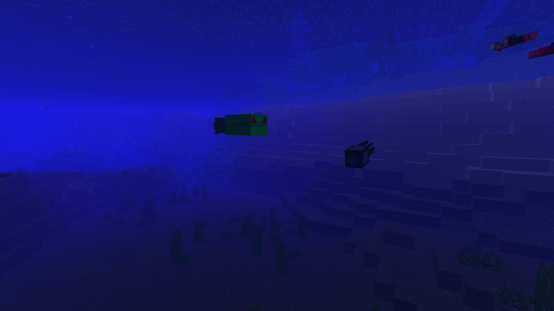 Thumbnail fish.png