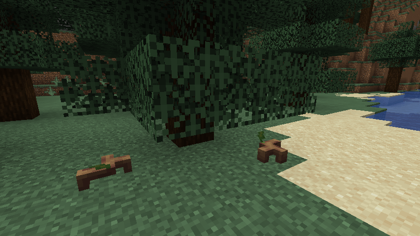 Wild roots generated under trees