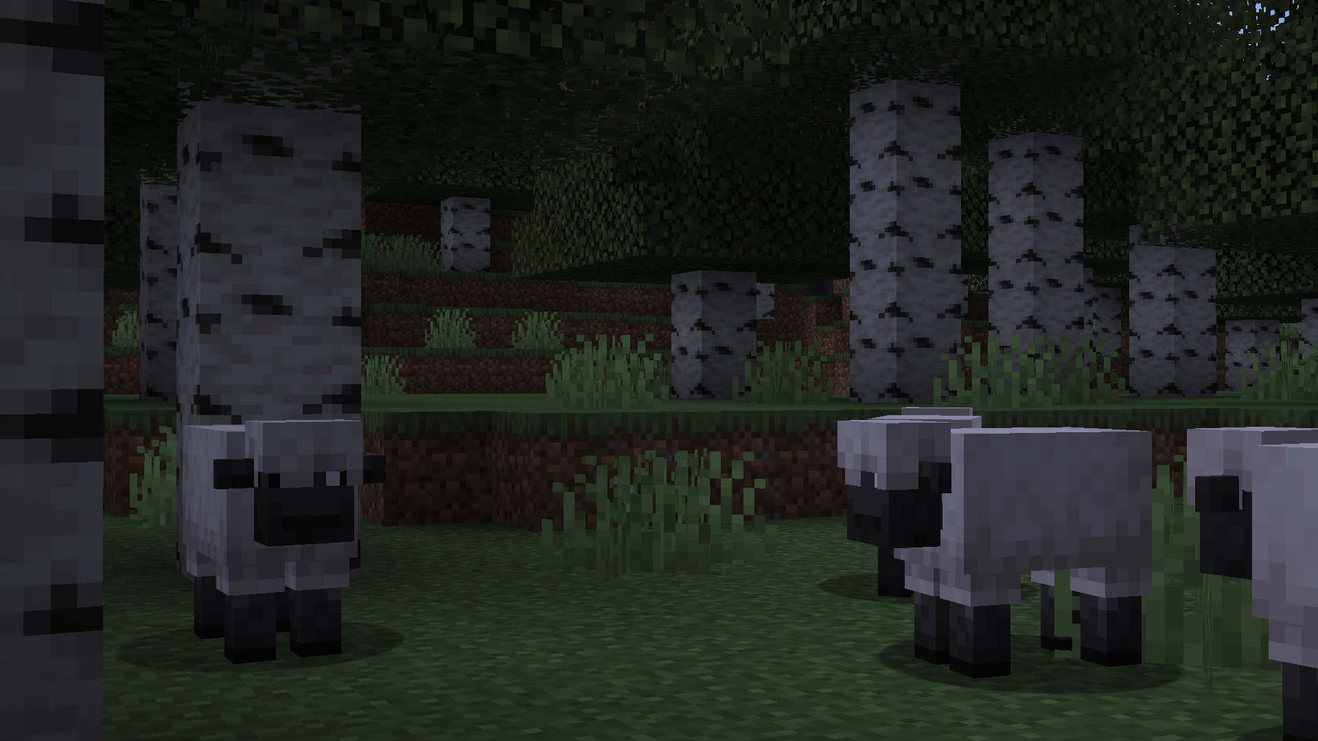 Mixed Litter - Gallery - Minecraft Mods - CurseForge