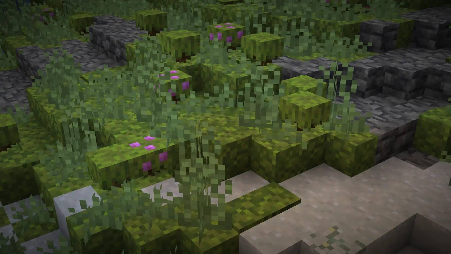 Screenshot thumbnail
