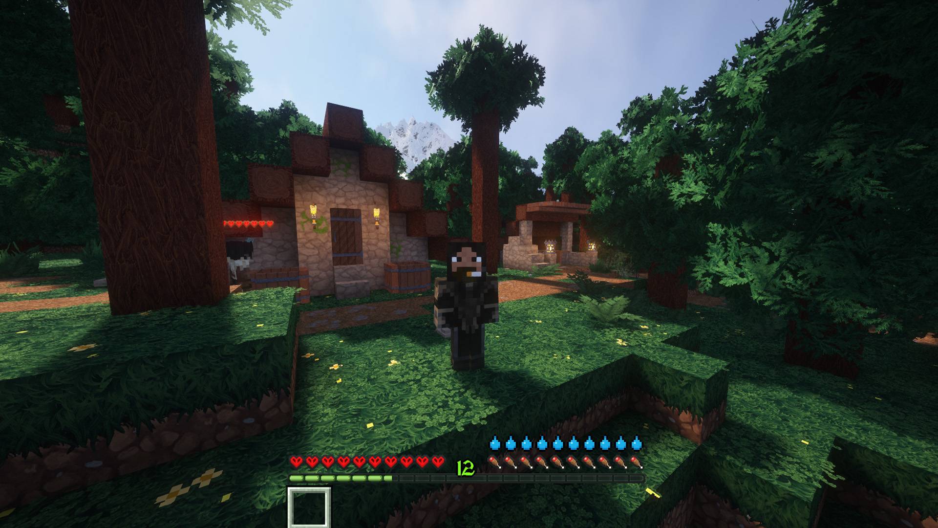 Thumbnail HUD