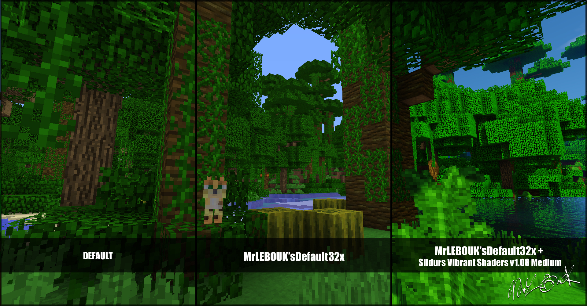 Thumbnail Resource pack minecraft : Mrlebouk'sdefault32x
