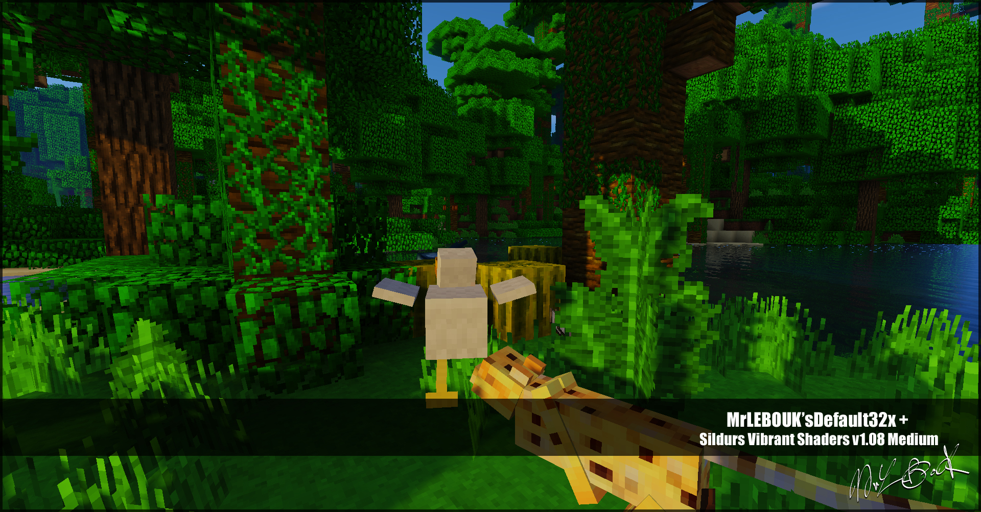 Thumbnail Resource pack minecraft : Mrlebouk'sdefault32x