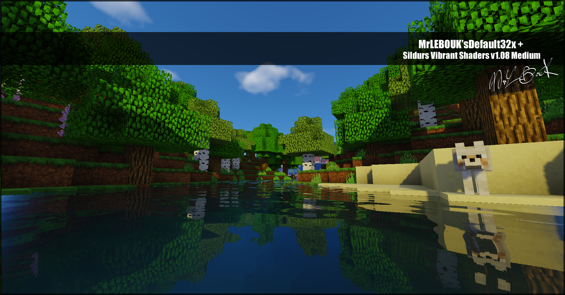 Thumbnail Resource pack minecraft : Mrlebouk'sdefault32x