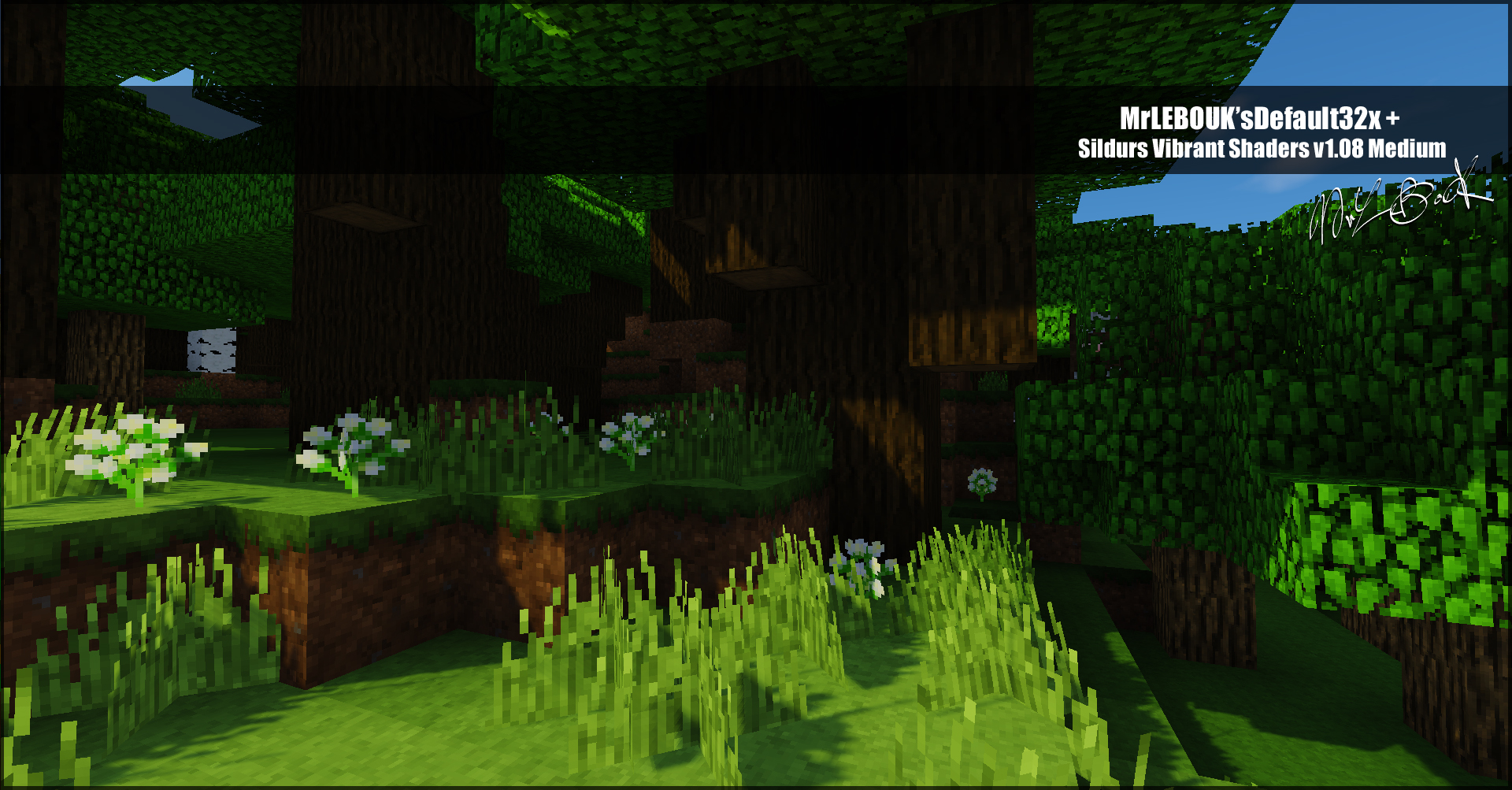 Thumbnail Resource pack minecraft : Mrlebouk'sdefault32x