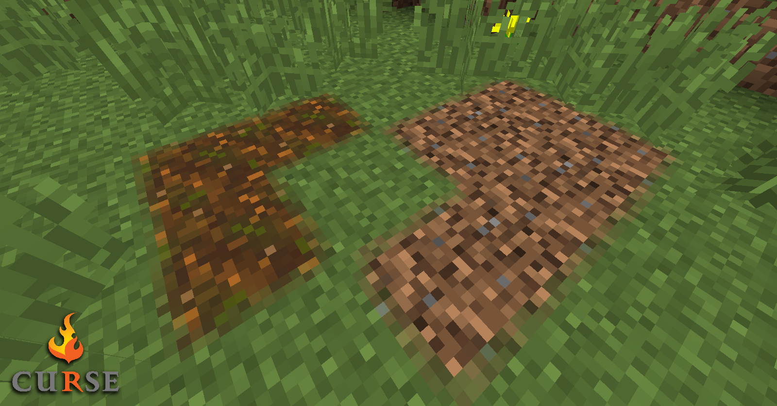 Podzol and coarse dirt