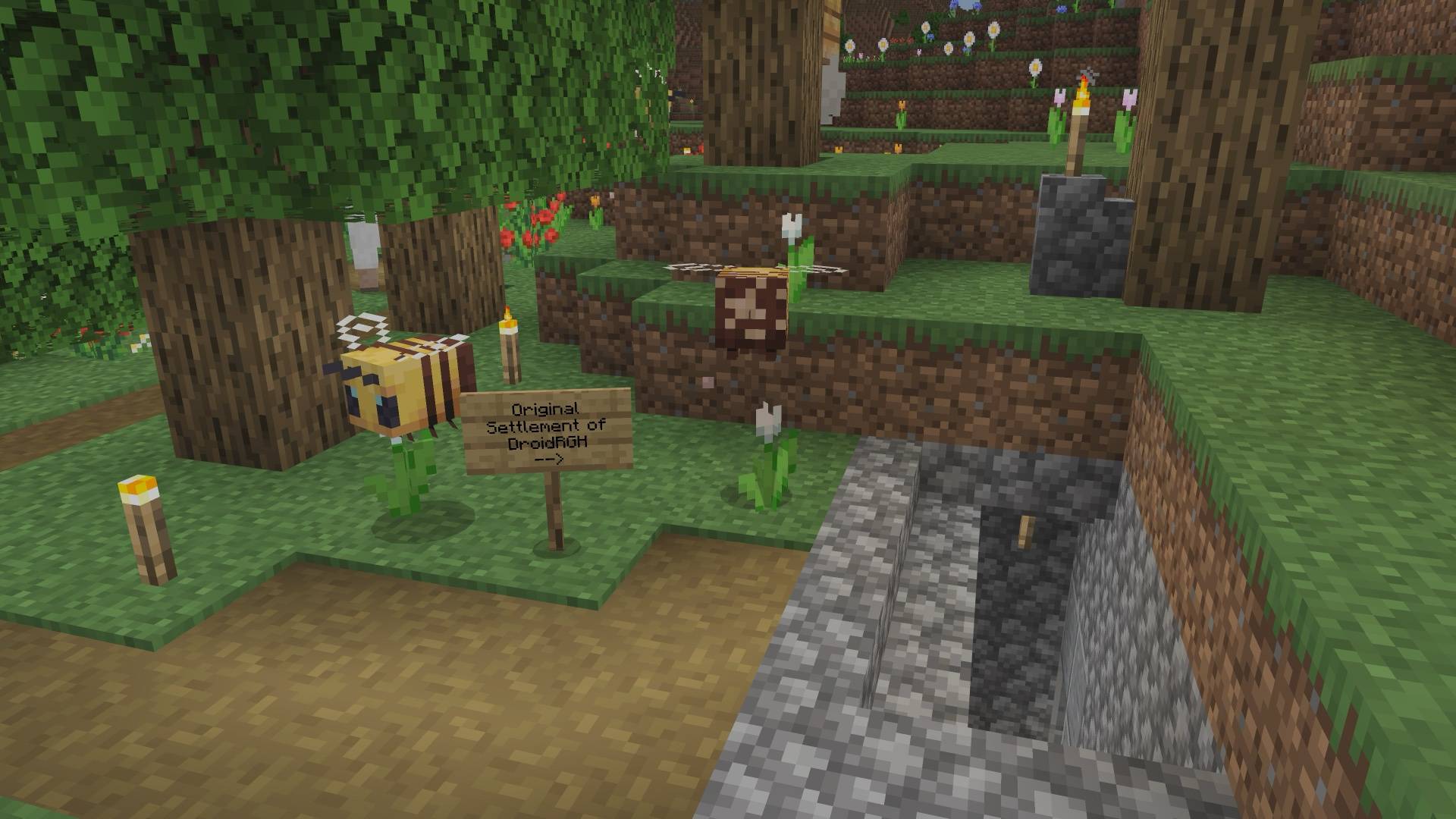 Thumbnail Legit Survival Castle Motte-and-Bailey 11 original base.jpg