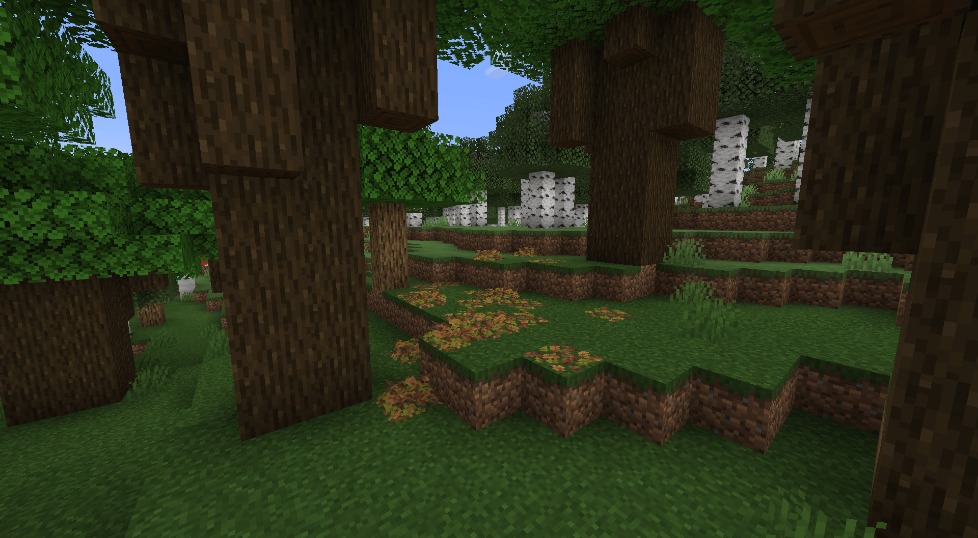 Leaf Piles