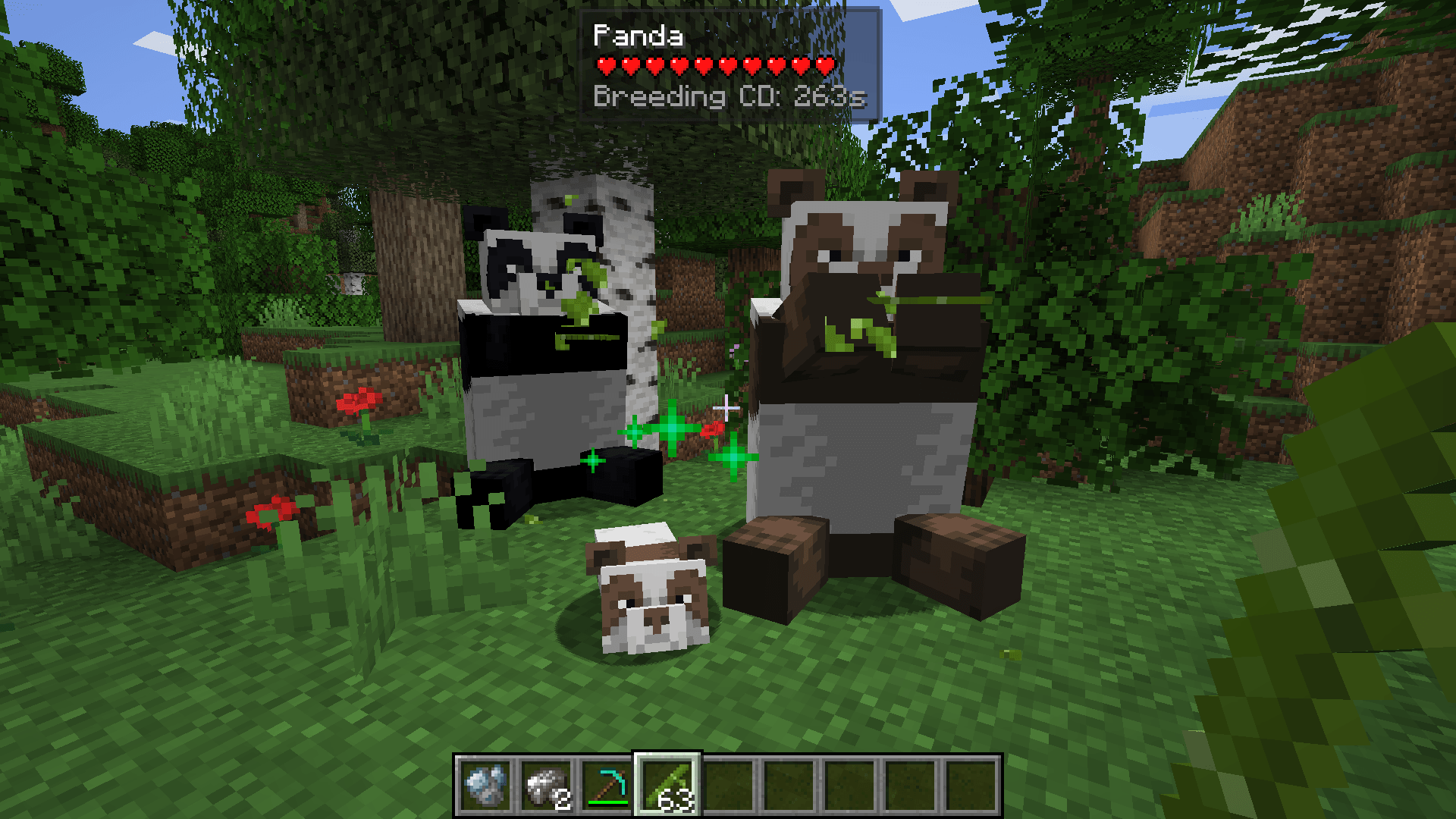 Thumbnail This is not new content, I just was really happy to find the brown panda!!!