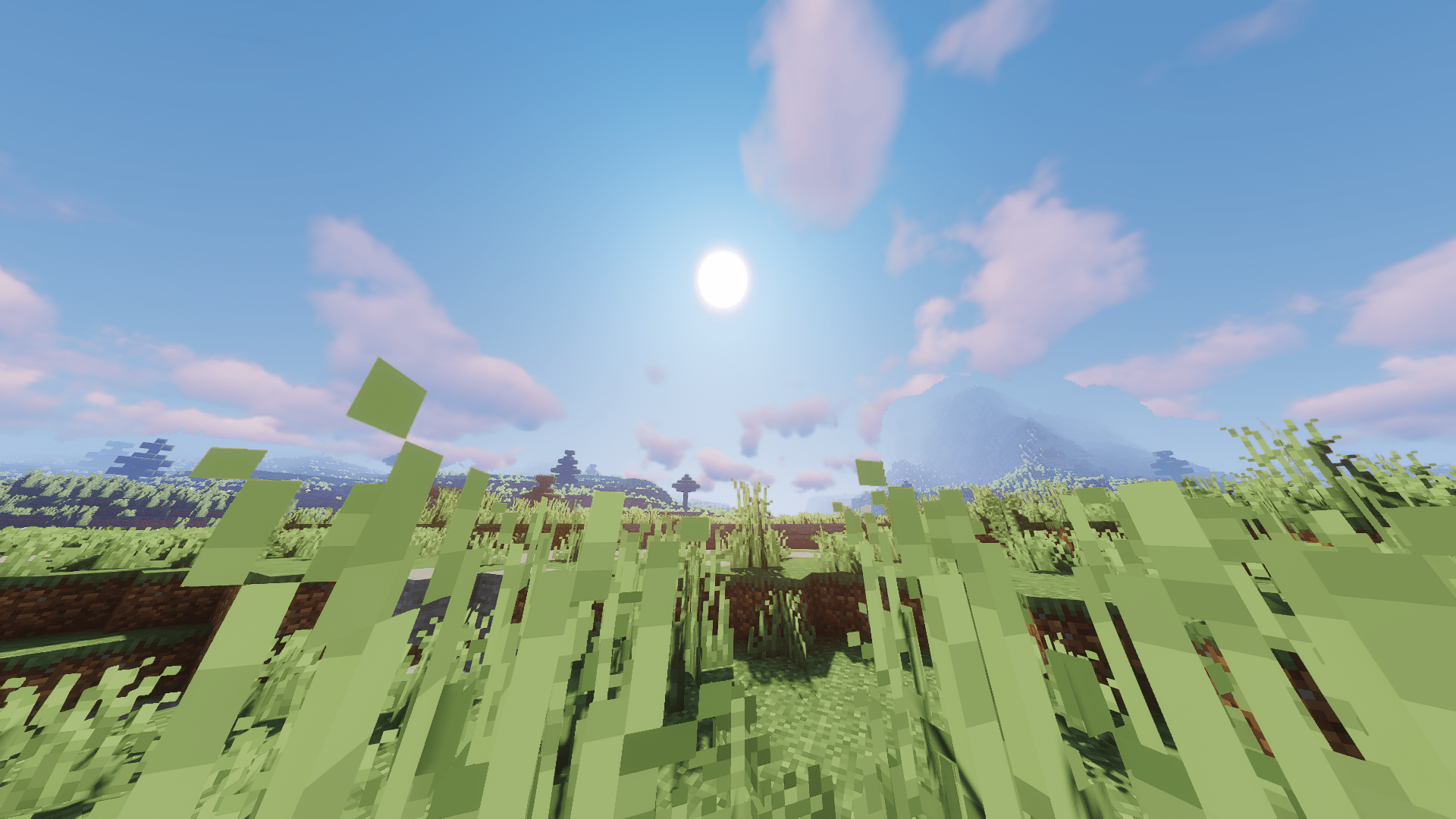 Thumbnail RefineMC-pic1-min.png