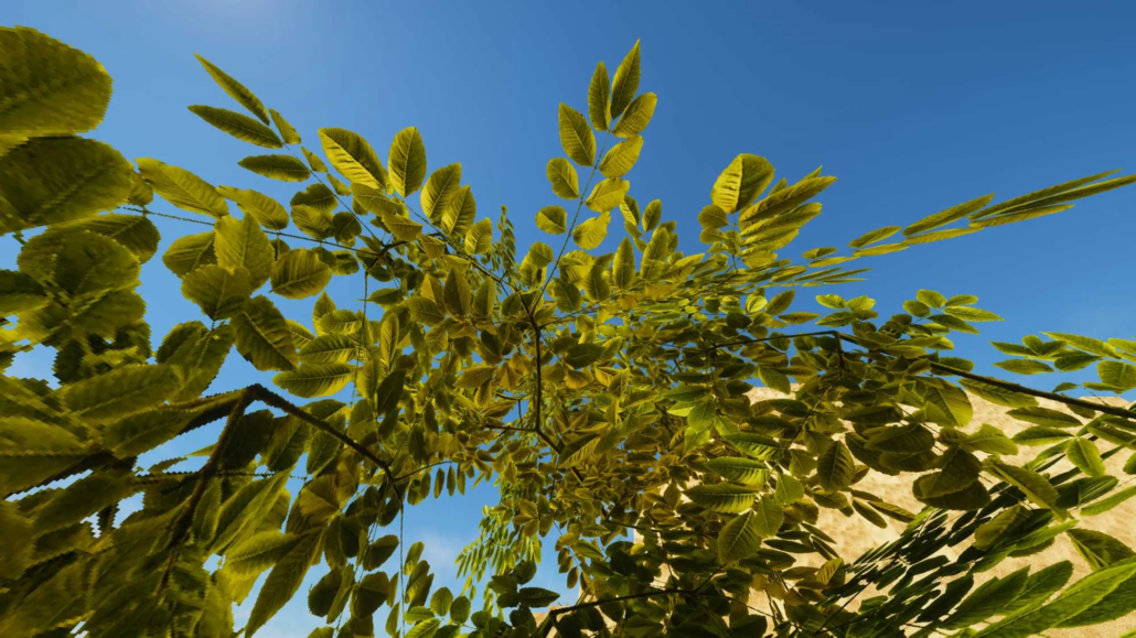 RealSource REALISTIC JAVA pack - Gallery - Minecraft Resource Packs ...