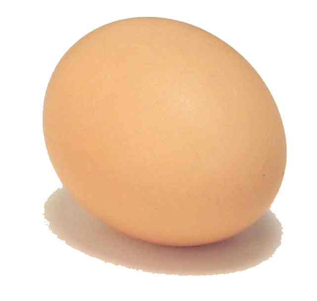 <p>Default Image for EggCeption plugin.</p>