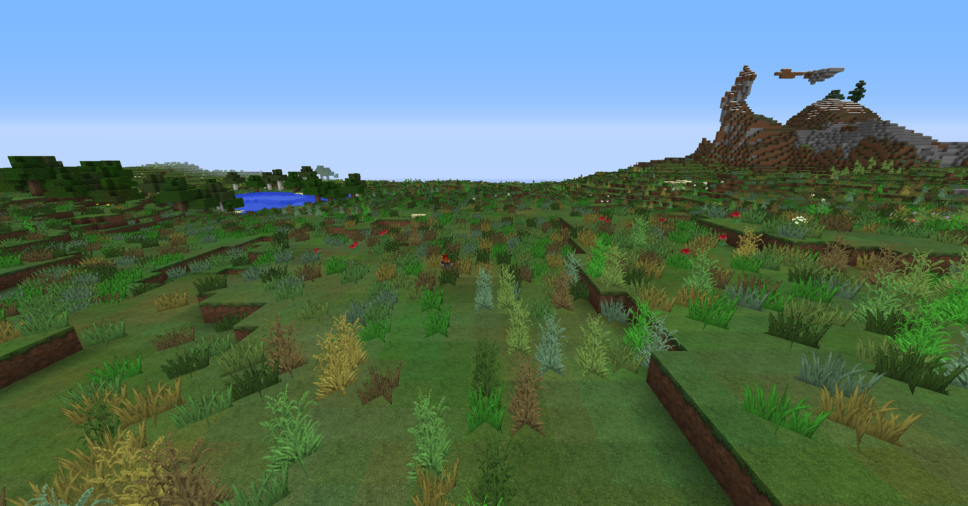 Random Biome