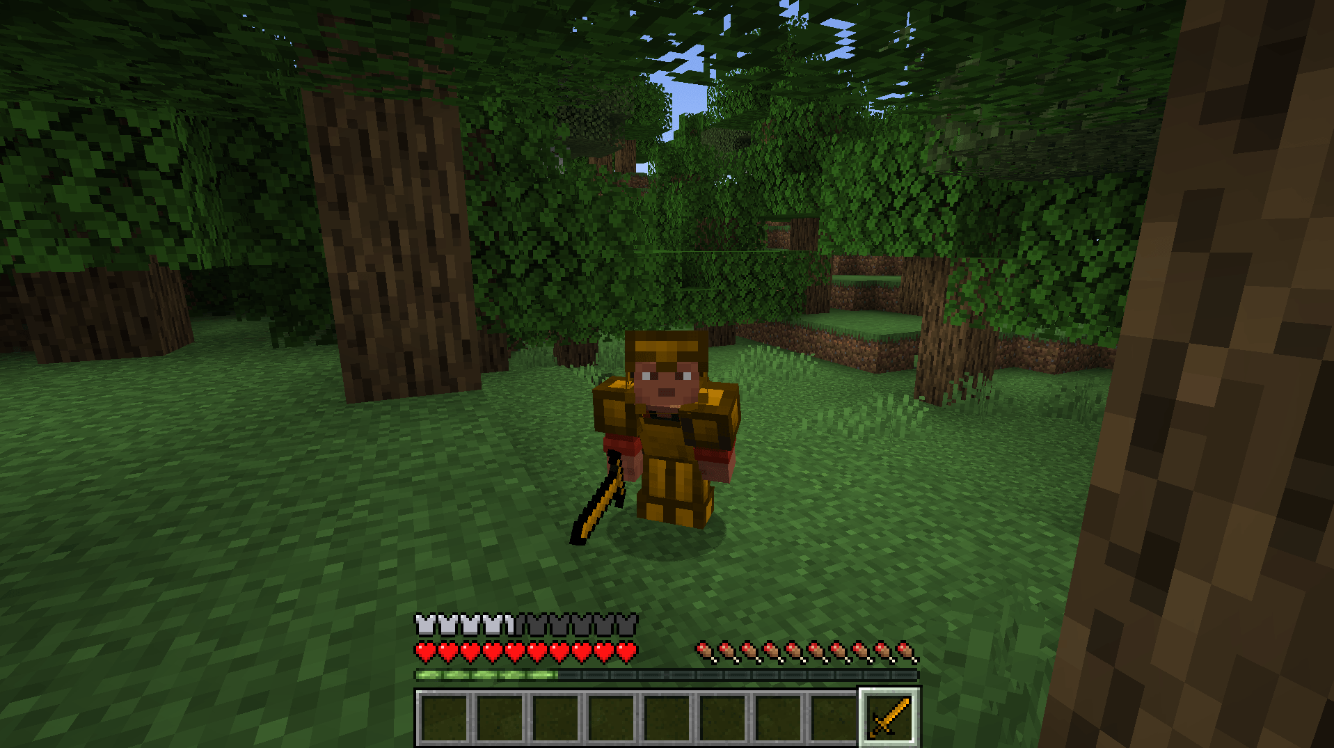 the_armor