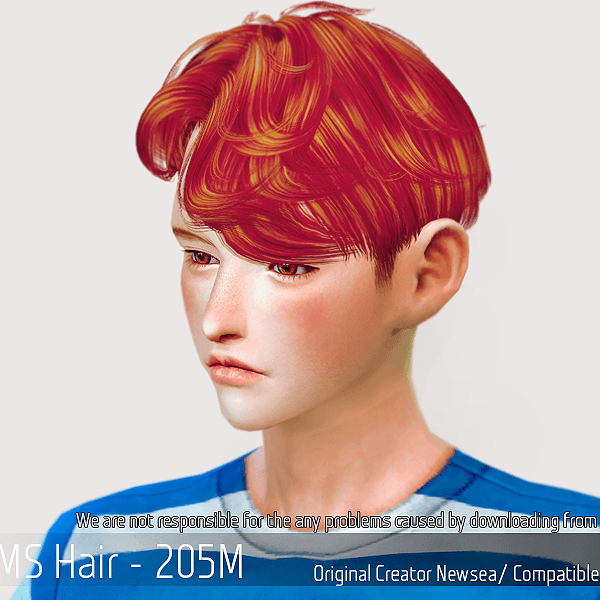 SC1.png