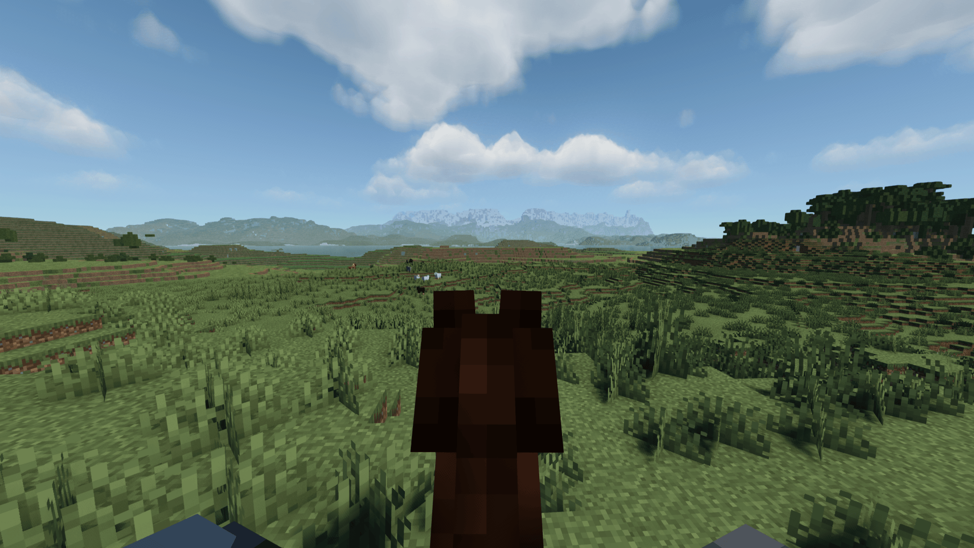 Thumbnail 2025-04-29_20.23.06.png
