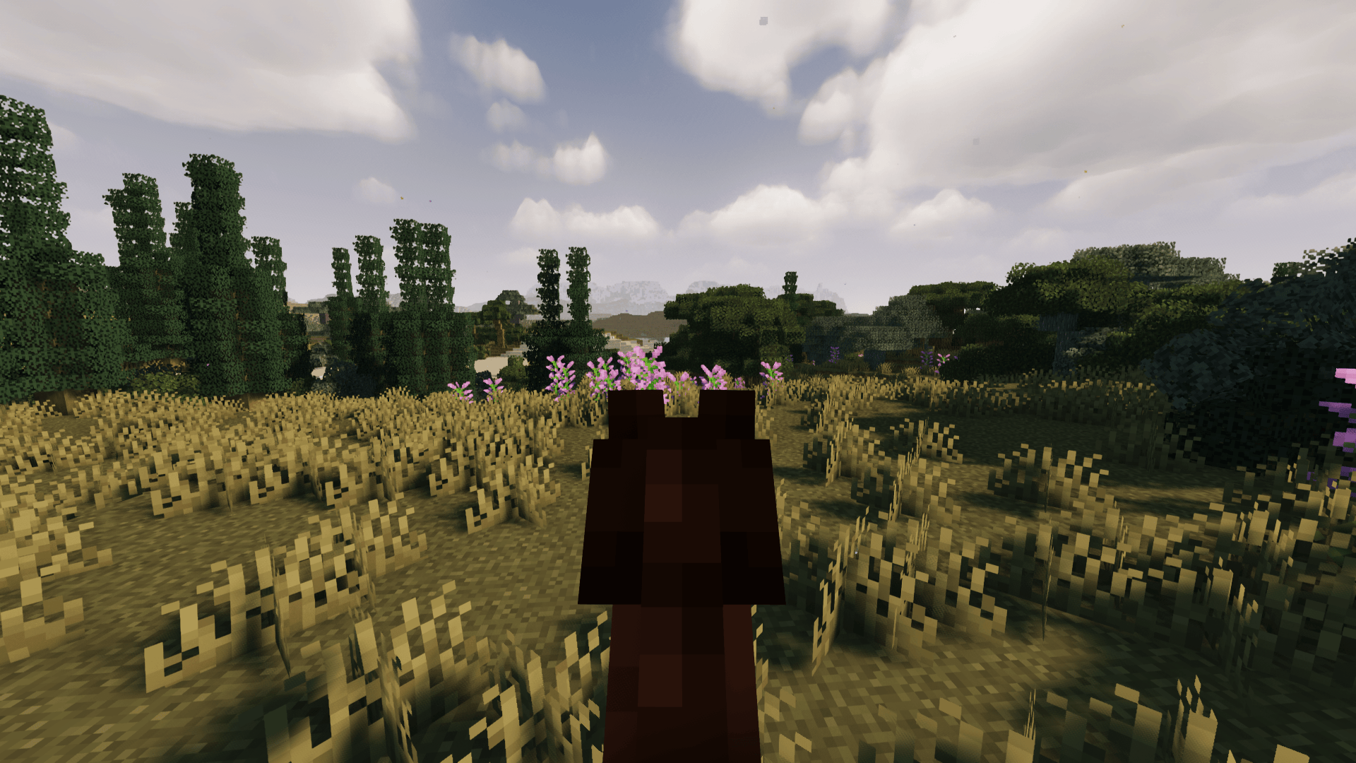 Thumbnail 2025-04-29_20.21.04.png