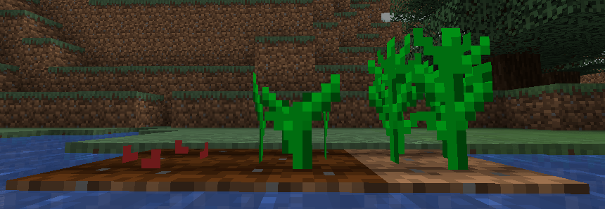 Thumbnail yerba planta.png