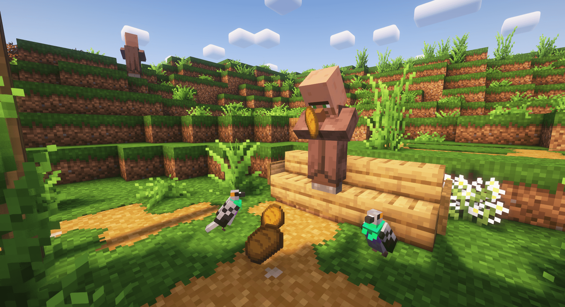 Thumbnail Pigeons take the place of parrots in every non-tropical inland biome.