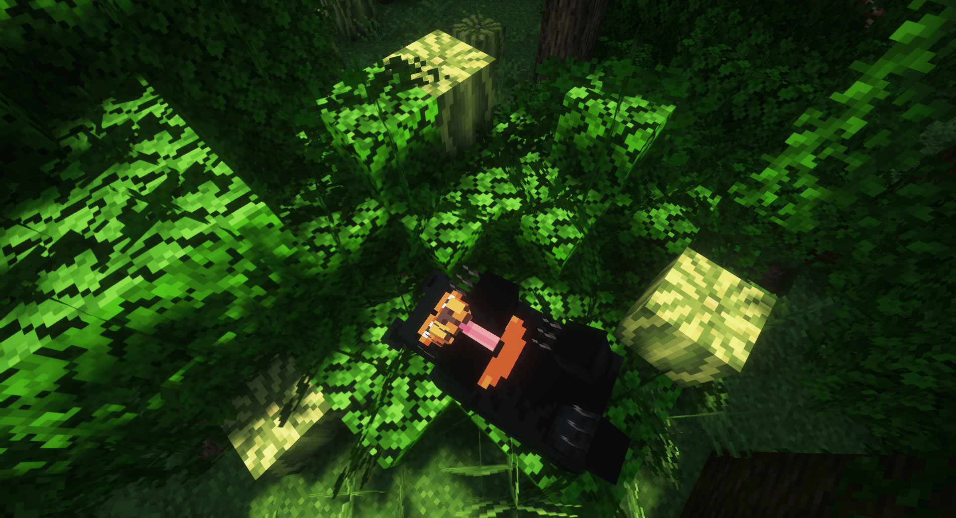 Thumbnail Sun bears take the place of pandas in regular jungle biomes.