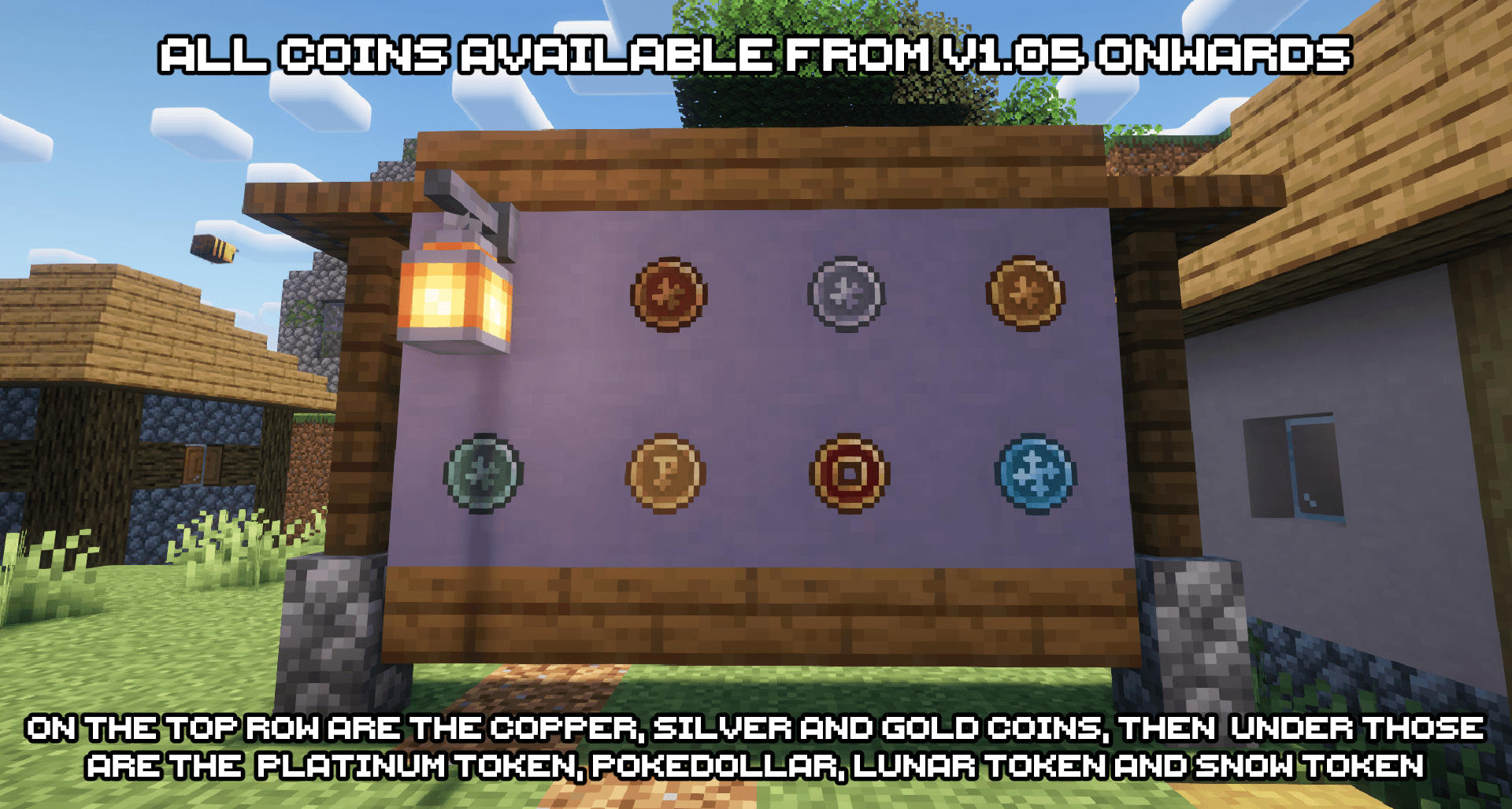 The Coins