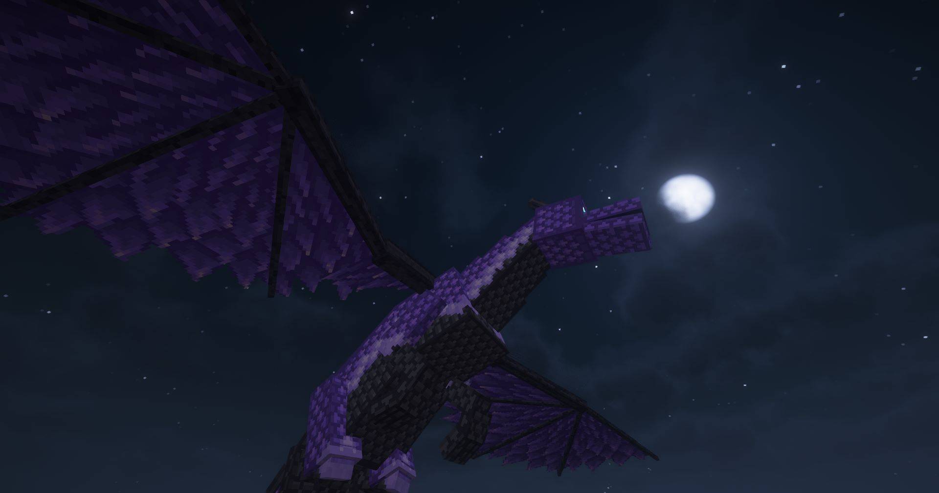 Fly on Magestic Dragons.jpg