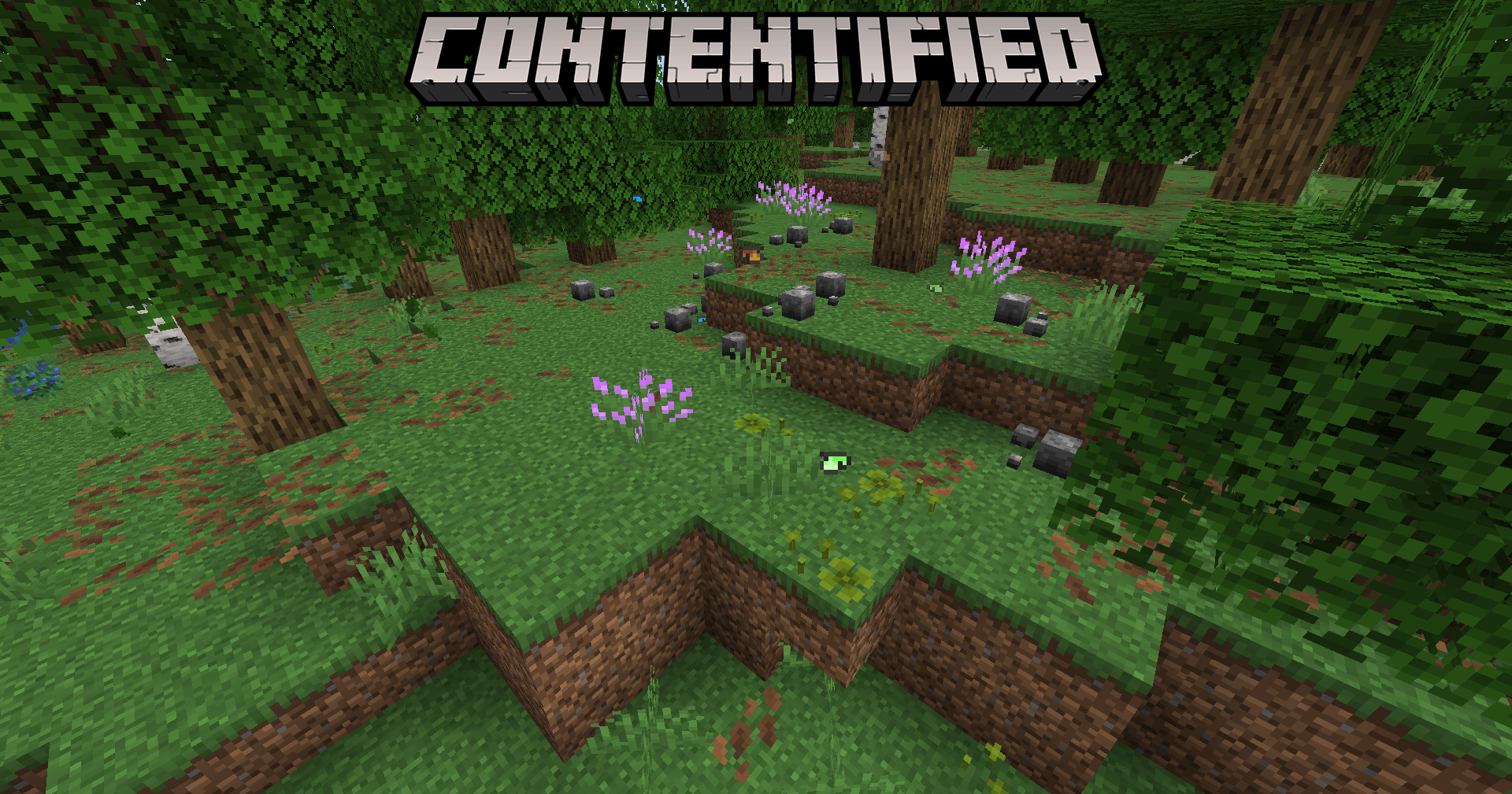 Thumbnail The way forests look with Contentified