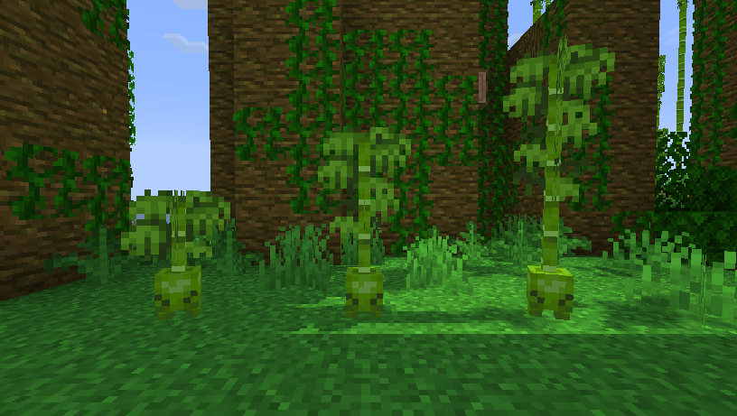 bambloom_heights.png